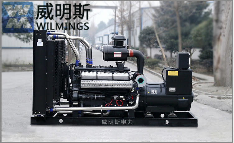 成都上柴發(fā)電機(jī)