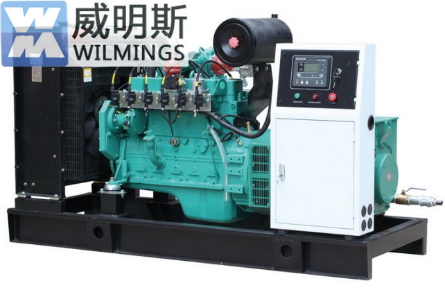 成都沼氣發(fā)電機