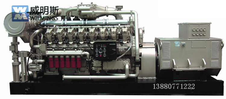 四川天然氣發(fā)電機(jī)